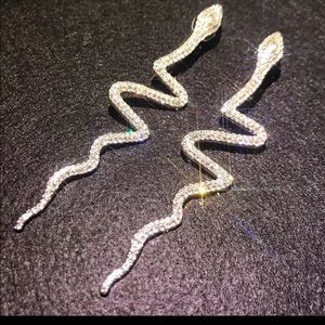 Long Tassel “Snake” Crystal Drop Earrings.